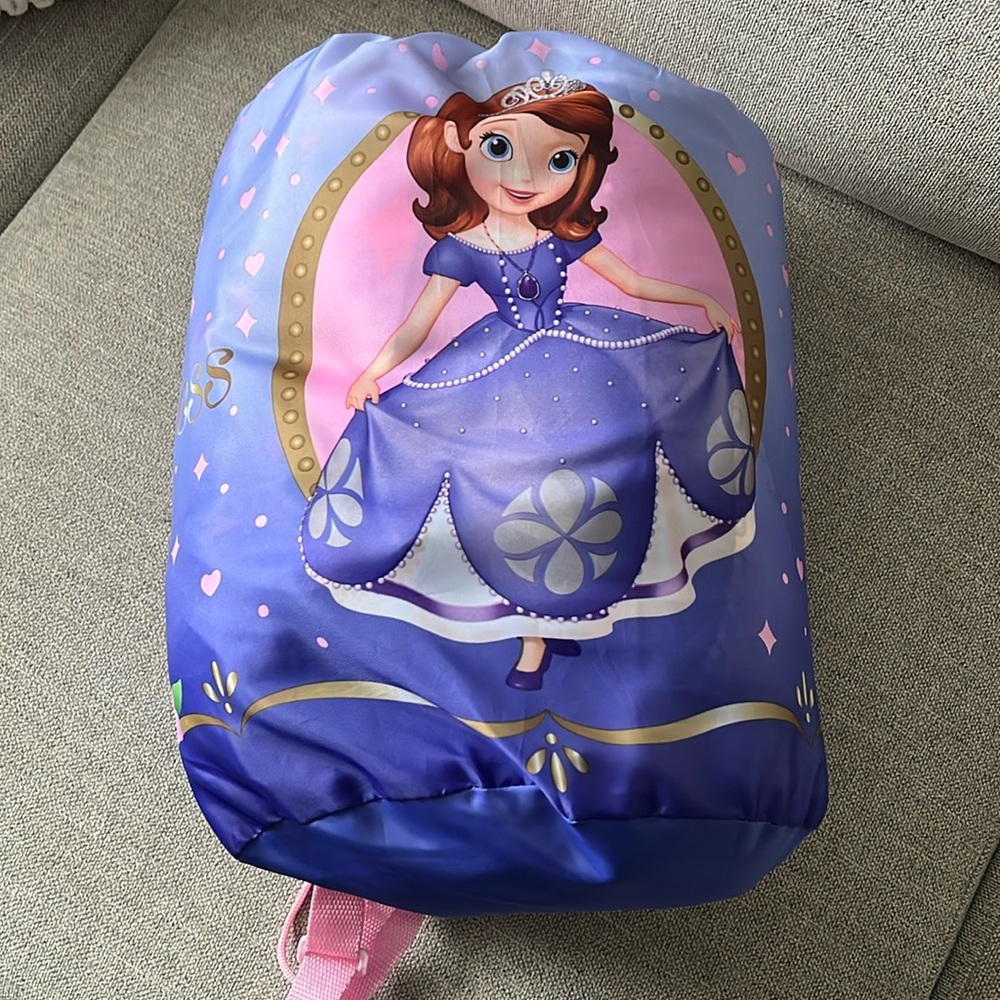 Disney sleeping bag
